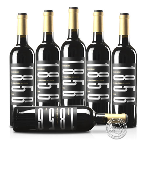 6´er Set Macia Batle 1856 2016